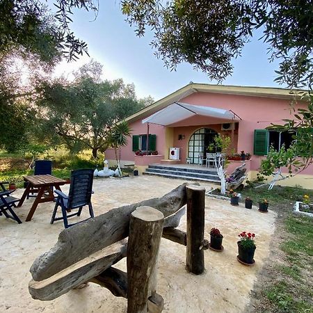 Endless Green: Feel Free And Cozy In Nature Perivólion 외부 사진