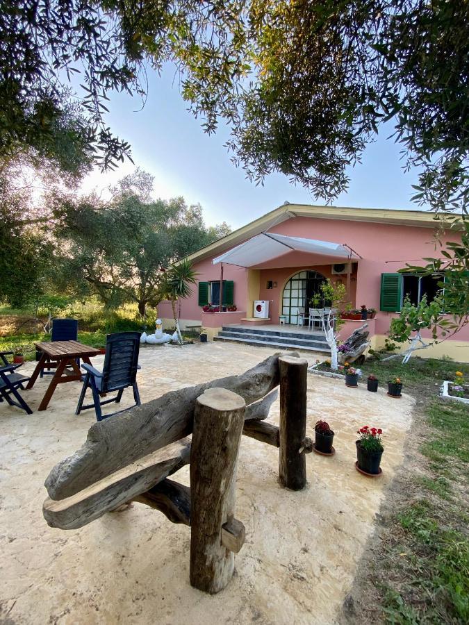 Endless Green: Feel Free And Cozy In Nature Perivólion 외부 사진